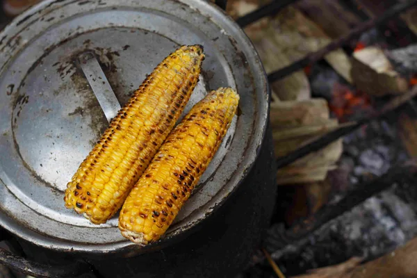 Twee gegrilde maiskolven in een pan boven een houtvuur