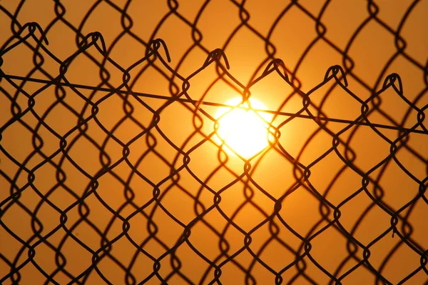 Een laagstaande oranje zon achter een gaashek