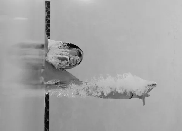 Zwart-witfoto van een zwemmer onder water, met een arm vooruit en luchtbellen